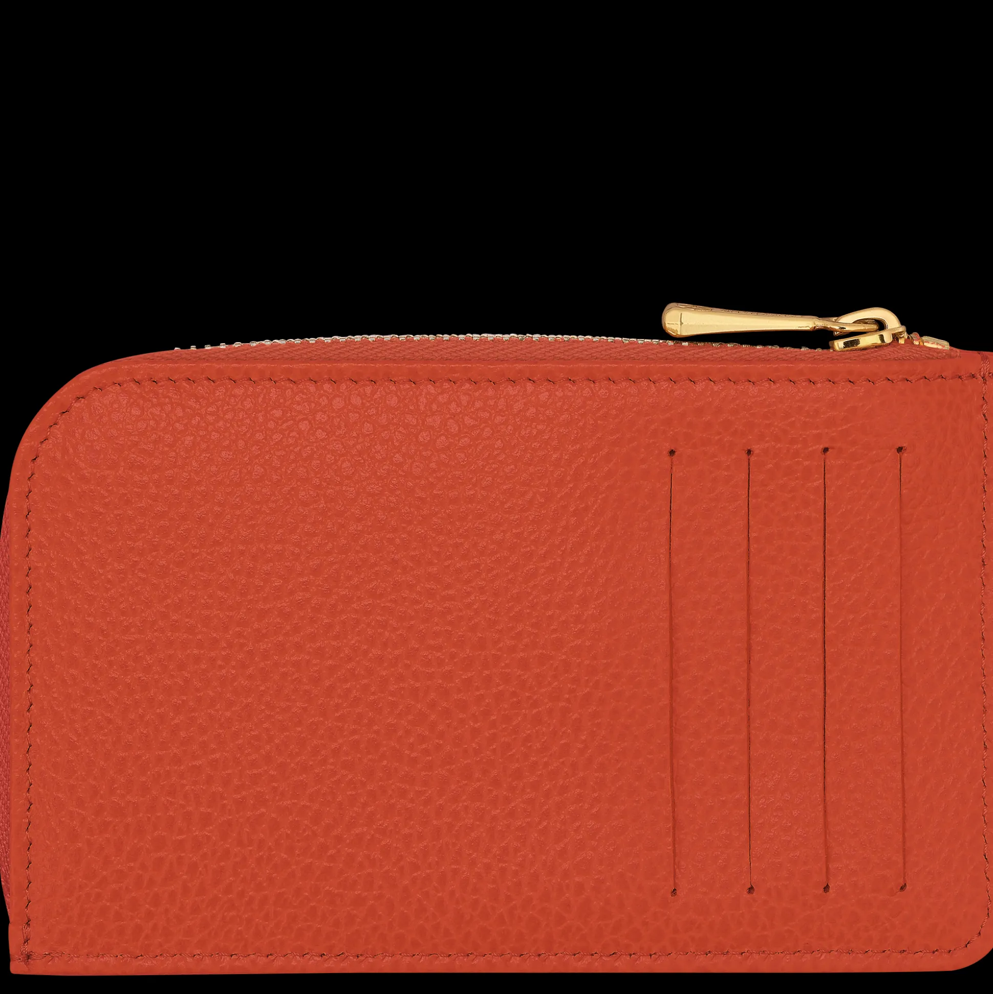 Karten-Etui Le Foulonné*Longchamp Hot