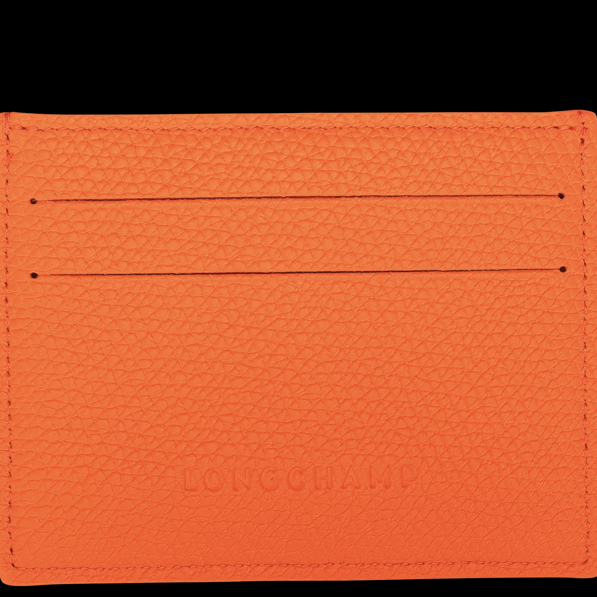 Karten-Etui Le Roseau*Longchamp Best